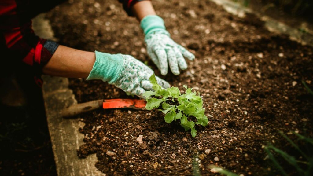 Happy Garden: 10 Expert Tips for Creating a Beautiful, Vibrant Outdoor Oasis